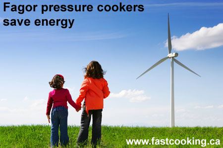 Pressure Cookers Save Energy